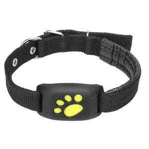 Collier GPS pour Chien | Localisateur