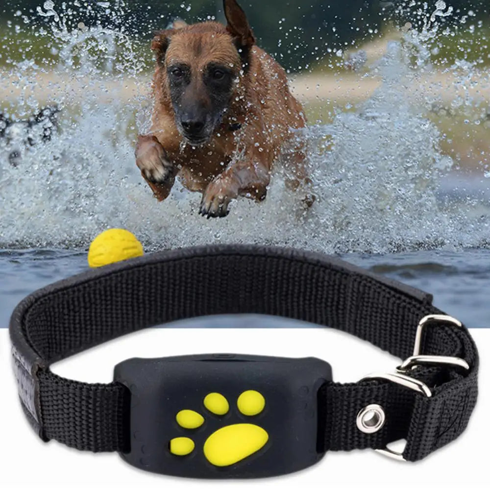 Collier GPS pour Chien | Localisateur