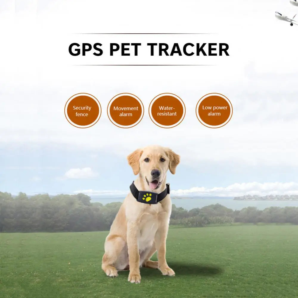 Collier GPS pour Chien | Localisateur