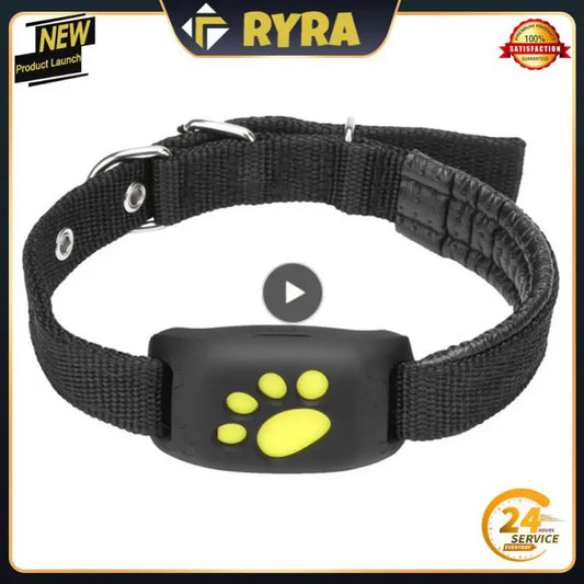 Collier GPS pour Chien | GSM USB