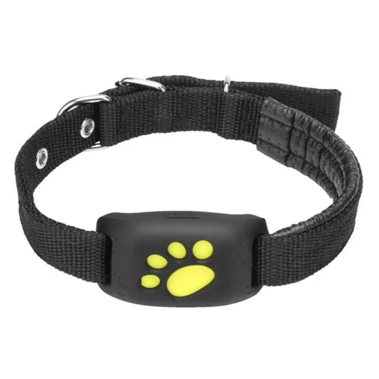 Collier GPS pour Chien | Localisateur