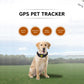 Hunde GPS Halskette | GSM USB