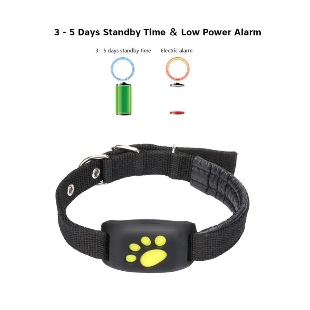 Collier GPS pour Chien | Localisateur